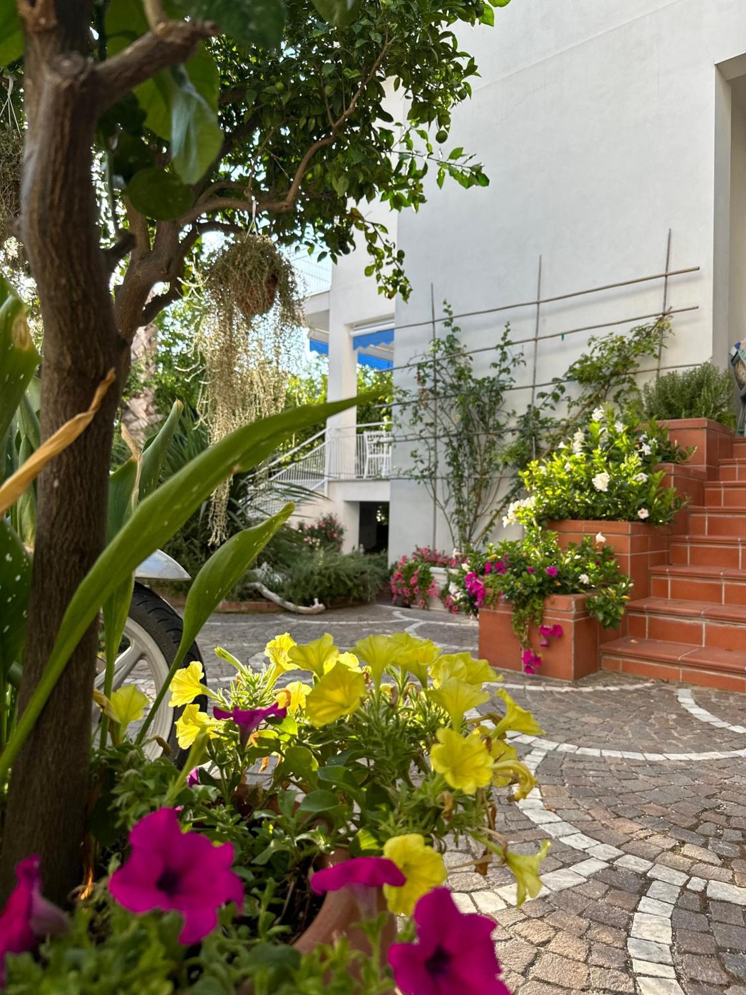 Villa Cettina Boutique Hotel Península Sorrentina Exterior foto